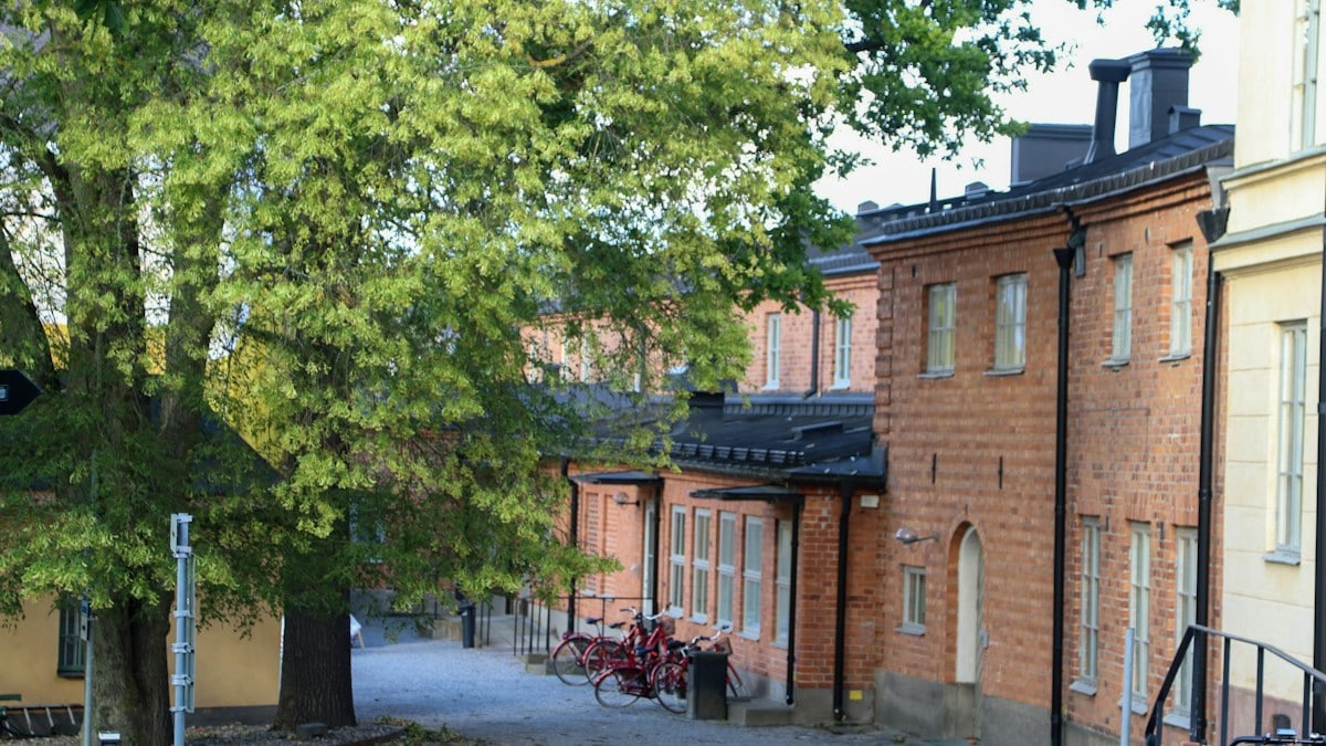 Kuidas säilitada tervislikku eluviisi igapäevaselt